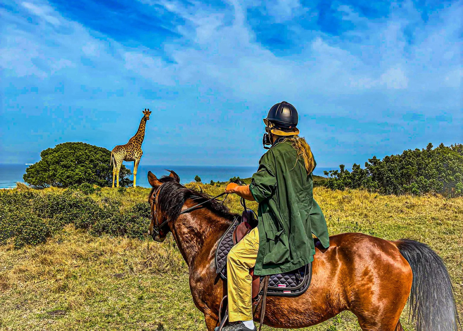Riding out among game on family ground